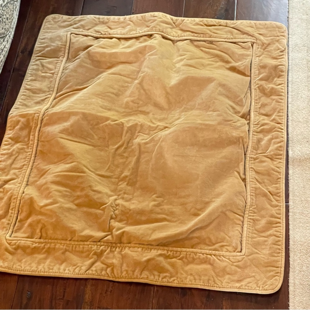 Hawthorne Hill gold velvet standard sham